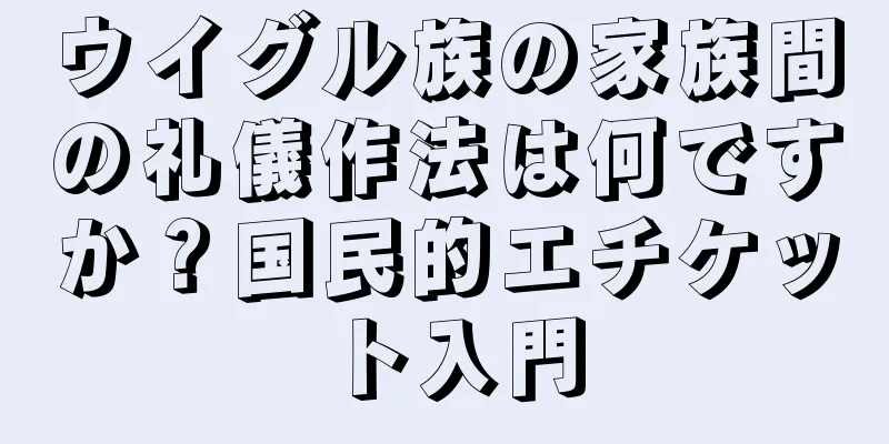 ウイグル族の家族間の礼儀作法は何ですか？国民的エチケット入門