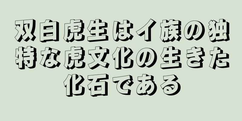 双白虎生はイ族の独特な虎文化の生きた化石である