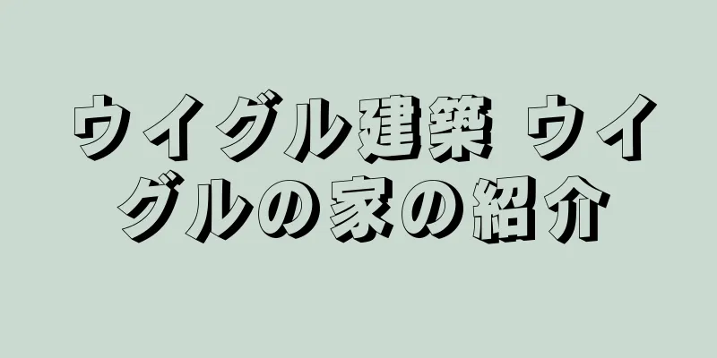 ウイグル建築 ウイグルの家の紹介