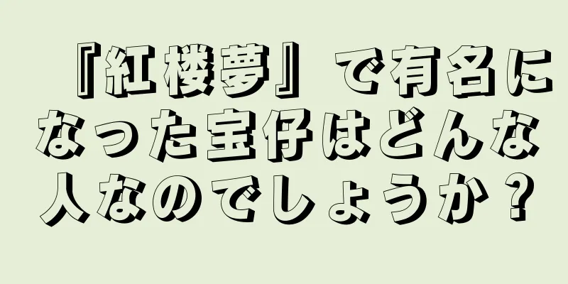 『紅楼夢』で有名になった宝仔はどんな人なのでしょうか？