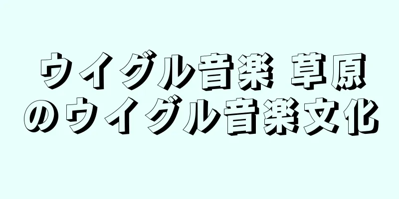 ウイグル音楽 草原のウイグル音楽文化