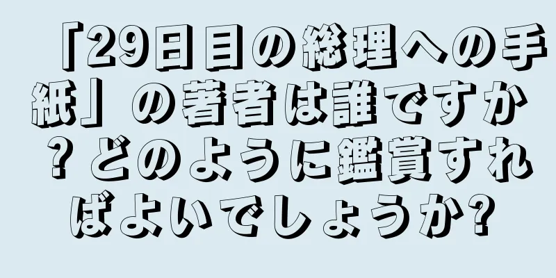 「29日目の総理への手紙」の著者は誰ですか？どのように鑑賞すればよいでしょうか?