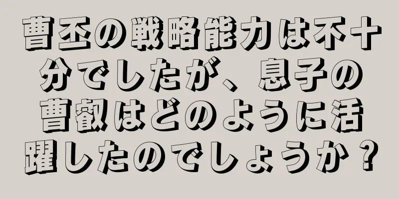 曹丕の戦略能力は不十分でしたが、息子の曹叡はどのように活躍したのでしょうか？