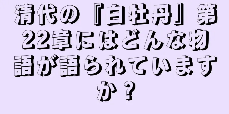 清代の『白牡丹』第22章にはどんな物語が語られていますか？