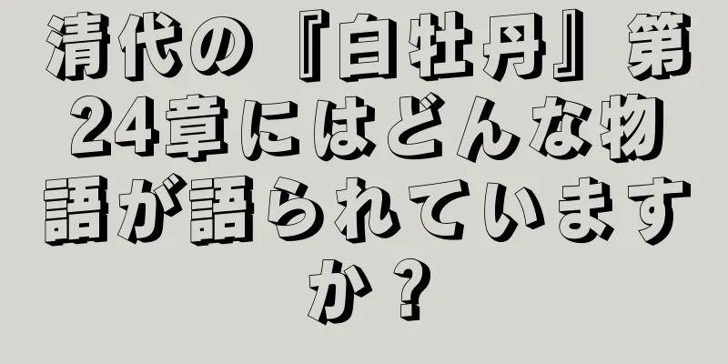 清代の『白牡丹』第24章にはどんな物語が語られていますか？