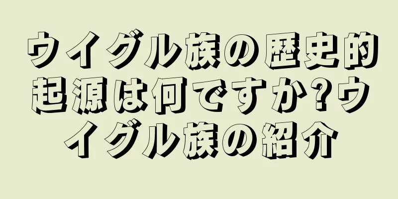 ウイグル族の歴史的起源は何ですか?ウイグル族の紹介