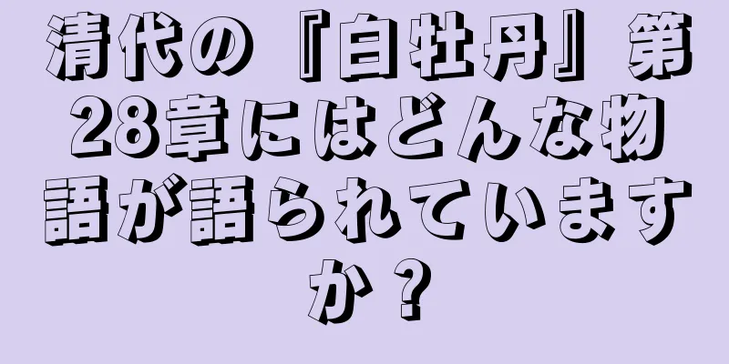 清代の『白牡丹』第28章にはどんな物語が語られていますか？