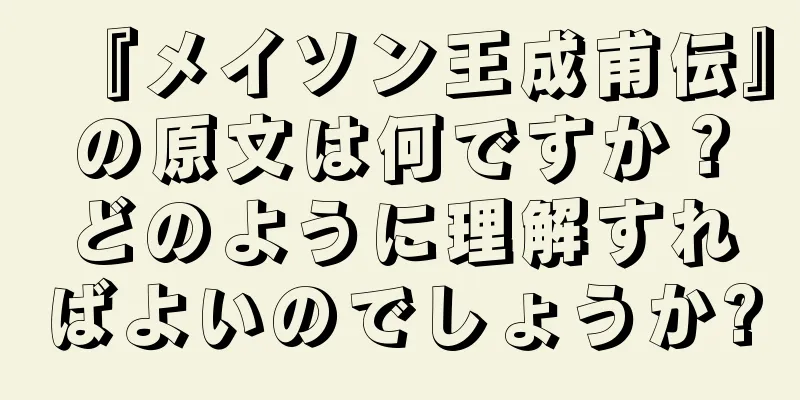 『メイソン王成甫伝』の原文は何ですか？どのように理解すればよいのでしょうか?