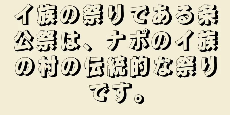 イ族の祭りである条公祭は、ナポのイ族の村の伝統的な祭りです。