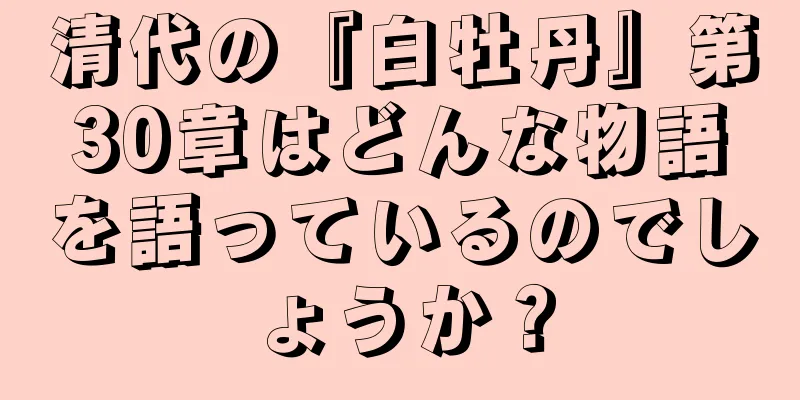 清代の『白牡丹』第30章はどんな物語を語っているのでしょうか？