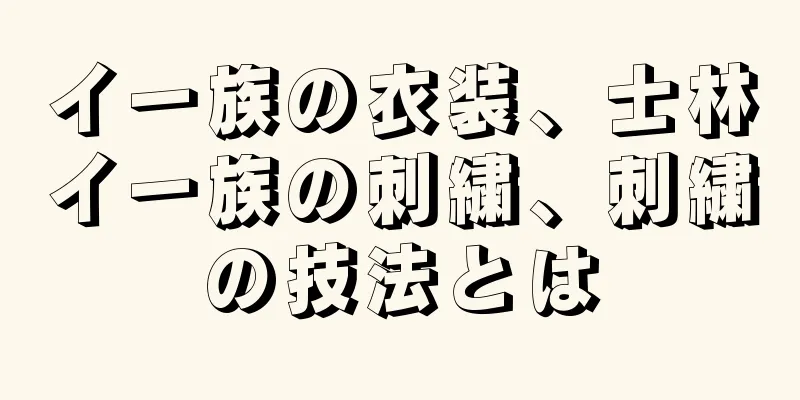 イー族の衣装、士林イー族の刺繍、刺繍の技法とは