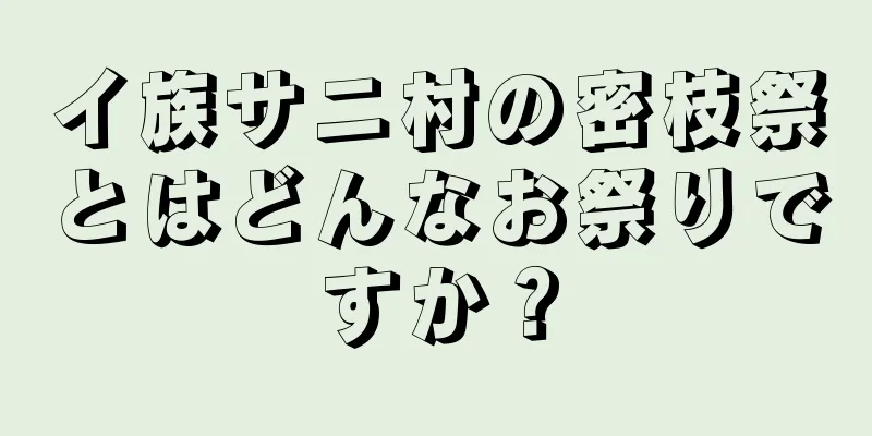 イ族サニ村の密枝祭とはどんなお祭りですか？