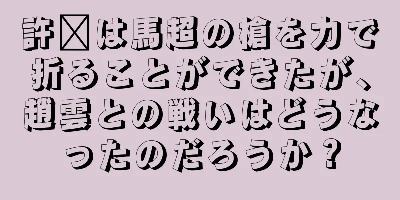 許褚は馬超の槍を力で折ることができたが、趙雲との戦いはどうなったのだろうか？