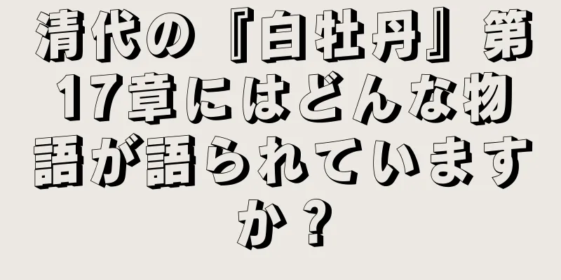 清代の『白牡丹』第17章にはどんな物語が語られていますか？