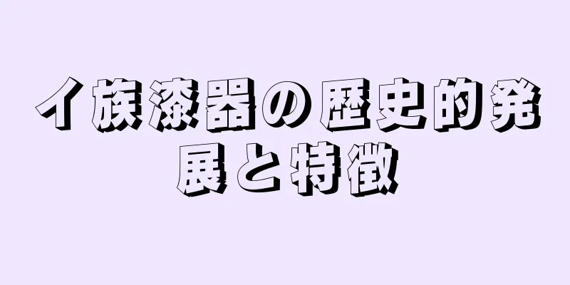 イ族漆器の歴史的発展と特徴