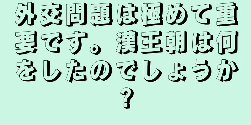 外交問題は極めて重要です。漢王朝は何をしたのでしょうか?