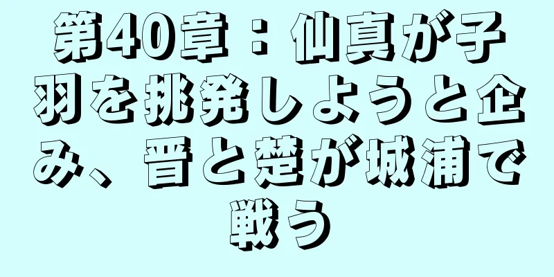 第40章：仙真が子羽を挑発しようと企み、晋と楚が城浦で戦う