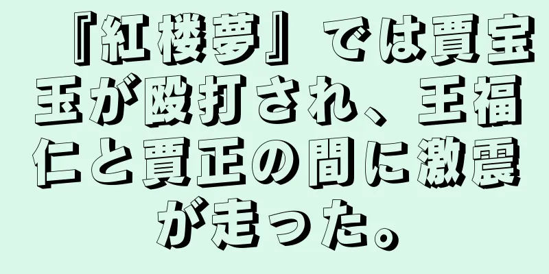 『紅楼夢』では賈宝玉が殴打され、王福仁と賈正の間に激震が走った。