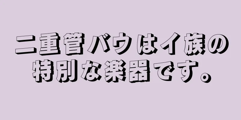 二重管バウはイ族の特別な楽器です。