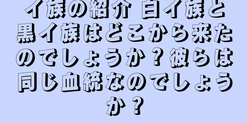 イ族の紹介 白イ族と黒イ族はどこから来たのでしょうか？彼らは同じ血統なのでしょうか？