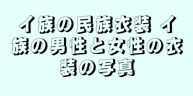 イ族の民族衣装 イ族の男性と女性の衣装の写真