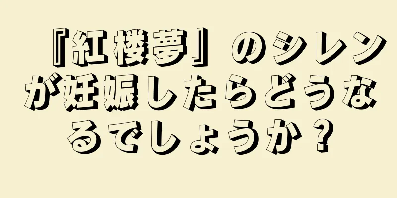 『紅楼夢』のシレンが妊娠したらどうなるでしょうか？