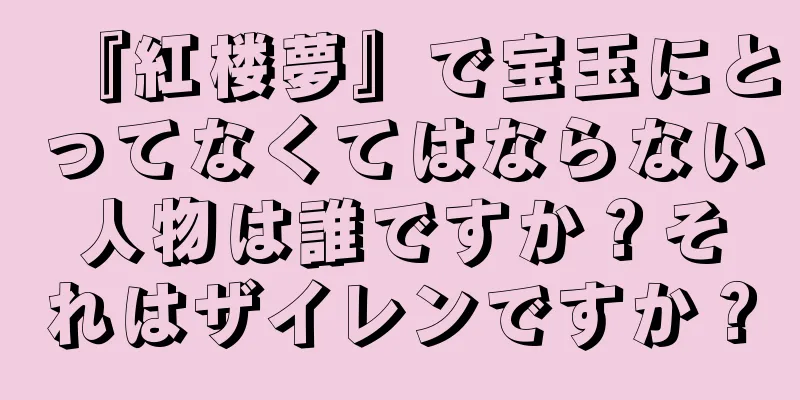 『紅楼夢』で宝玉にとってなくてはならない人物は誰ですか？それはザイレンですか？