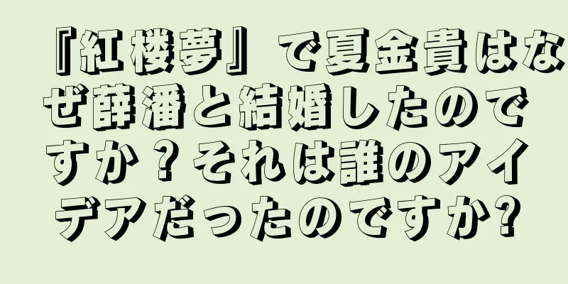 『紅楼夢』で夏金貴はなぜ薛潘と結婚したのですか？それは誰のアイデアだったのですか?