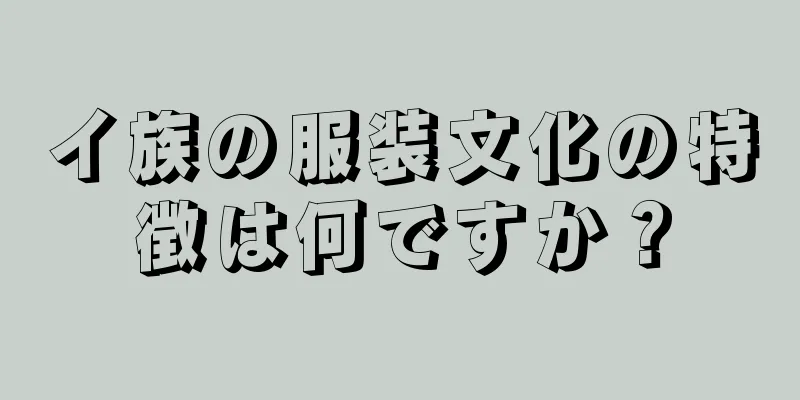 イ族の服装文化の特徴は何ですか？