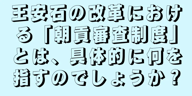 王安石の改革における「朝貢審査制度」とは、具体的に何を指すのでしょうか？