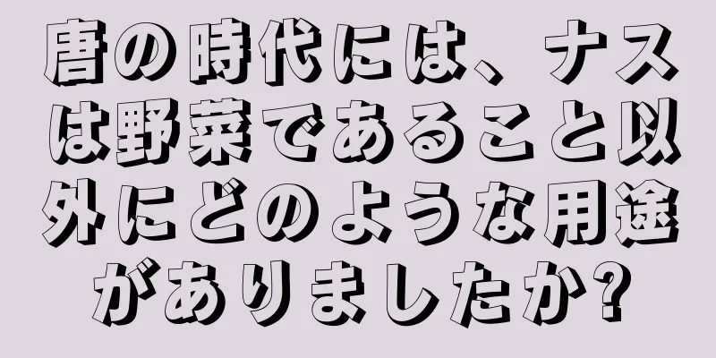 唐の時代には、ナスは野菜であること以外にどのような用途がありましたか?