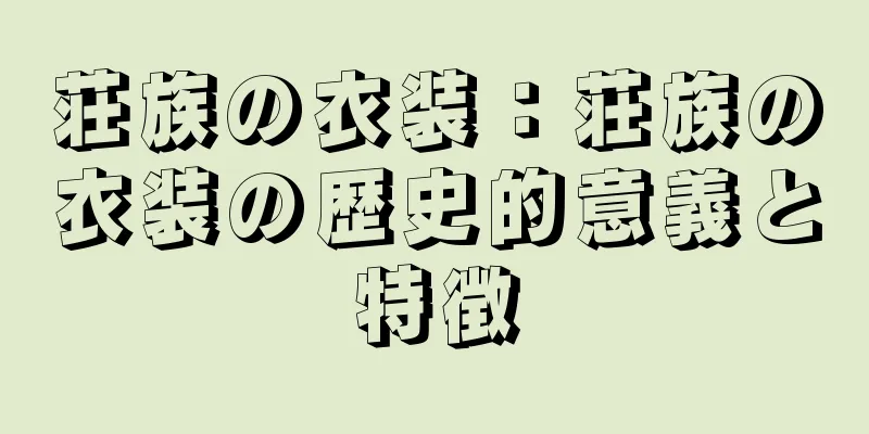 荘族の衣装：荘族の衣装の歴史的意義と特徴