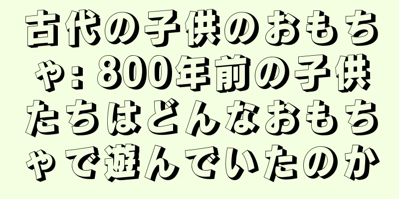 古代の子供のおもちゃ: 800年前の子供たちはどんなおもちゃで遊んでいたのか