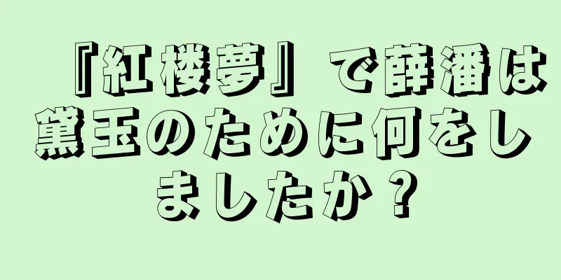 『紅楼夢』で薛潘は黛玉のために何をしましたか？