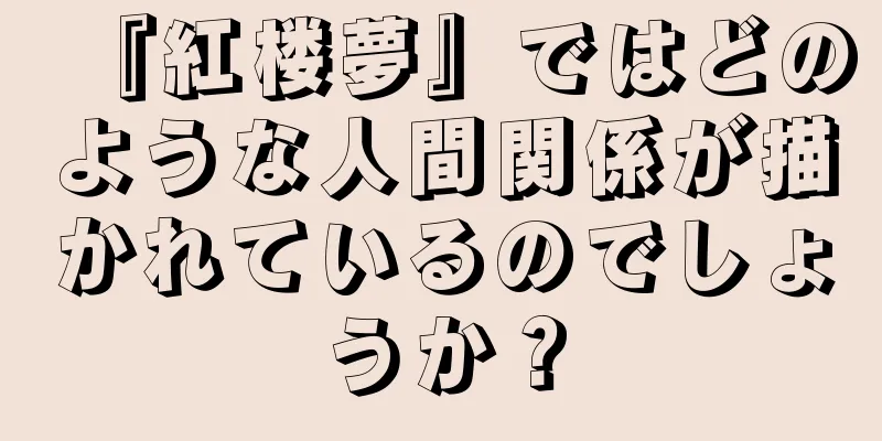 『紅楼夢』ではどのような人間関係が描かれているのでしょうか？