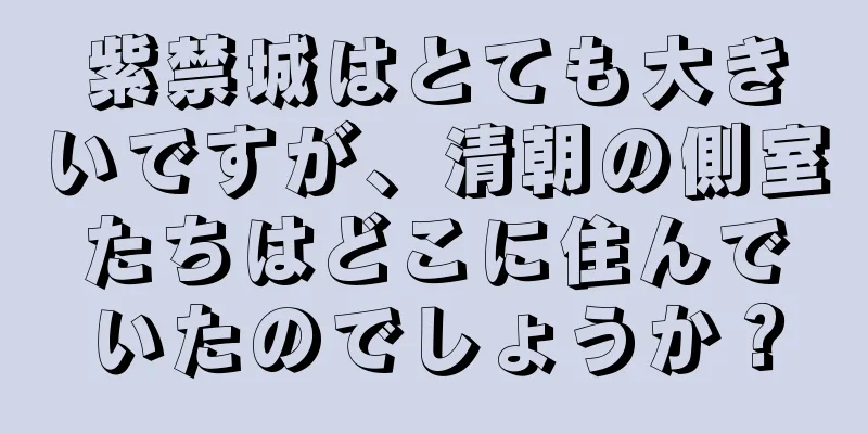紫禁城はとても大きいですが、清朝の側室たちはどこに住んでいたのでしょうか？