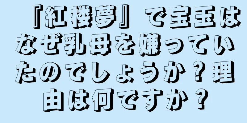 『紅楼夢』で宝玉はなぜ乳母を嫌っていたのでしょうか？理由は何ですか？