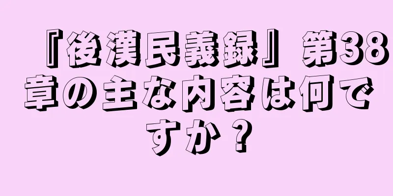 『後漢民義録』第38章の主な内容は何ですか？