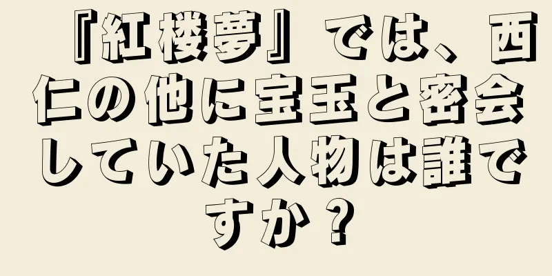 『紅楼夢』では、西仁の他に宝玉と密会していた人物は誰ですか？