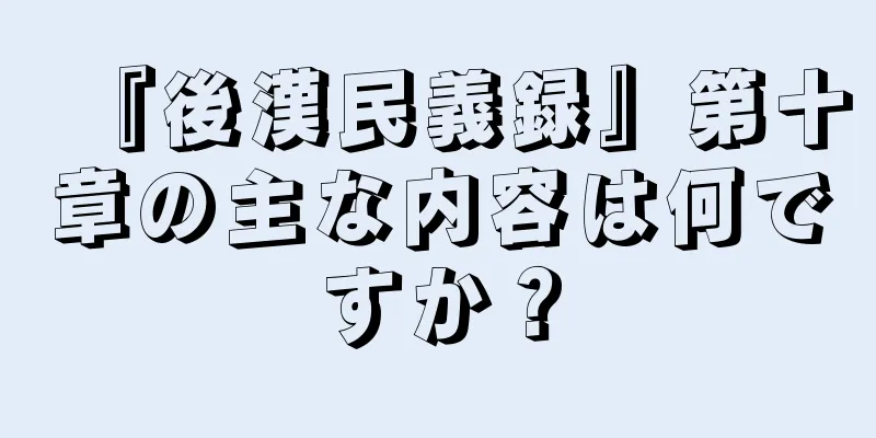 『後漢民義録』第十章の主な内容は何ですか？