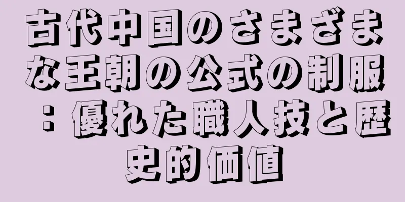 古代中国のさまざまな王朝の公式の制服：優れた職人技と歴史的価値
