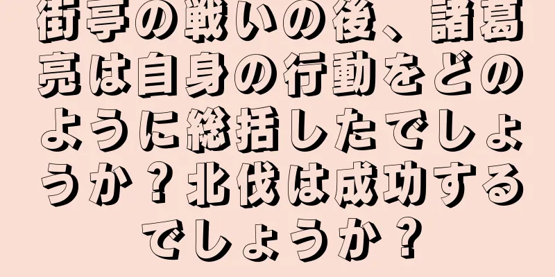 街亭の戦いの後、諸葛亮は自身の行動をどのように総括したでしょうか？北伐は成功するでしょうか？