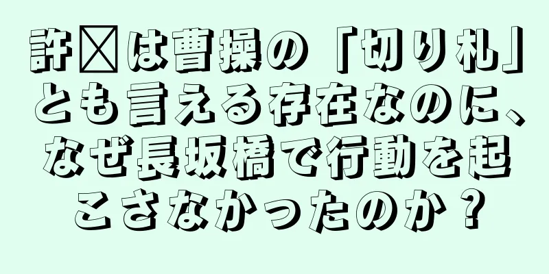 許褚は曹操の「切り札」とも言える存在なのに、なぜ長坂橋で行動を起こさなかったのか？