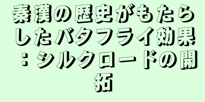 秦漢の歴史がもたらしたバタフライ効果：シルクロードの開拓