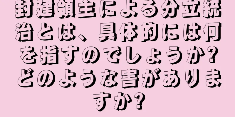 封建領主による分立統治とは、具体的には何を指すのでしょうか?どのような害がありますか?