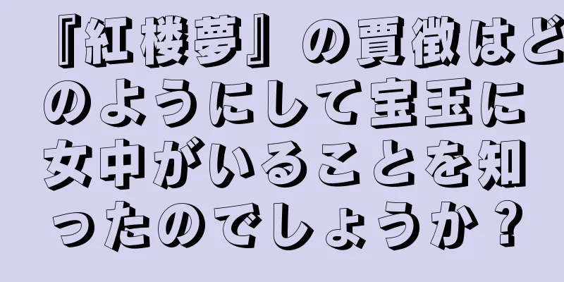『紅楼夢』の賈徴はどのようにして宝玉に女中がいることを知ったのでしょうか？