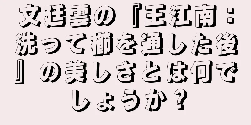 文廷雲の『王江南：洗って櫛を通した後』の美しさとは何でしょうか？