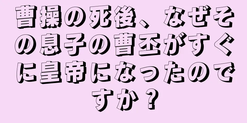 曹操の死後、なぜその息子の曹丕がすぐに皇帝になったのですか？