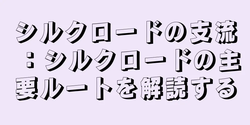 シルクロードの支流：シルクロードの主要ルートを解読する