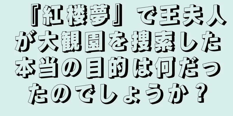 『紅楼夢』で王夫人が大観園を捜索した本当の目的は何だったのでしょうか？